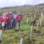6 people and a dog stood on hillside next to newly planted trees.